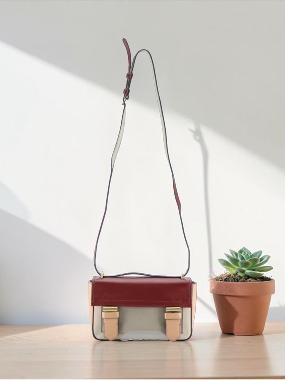 Reed Krakoff Structured Two-Tone Crossbody Bag in Burgundy and Cream (new)
